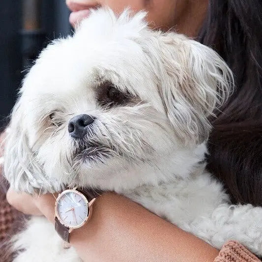 T3003 | Rose Gold & Brown Watch