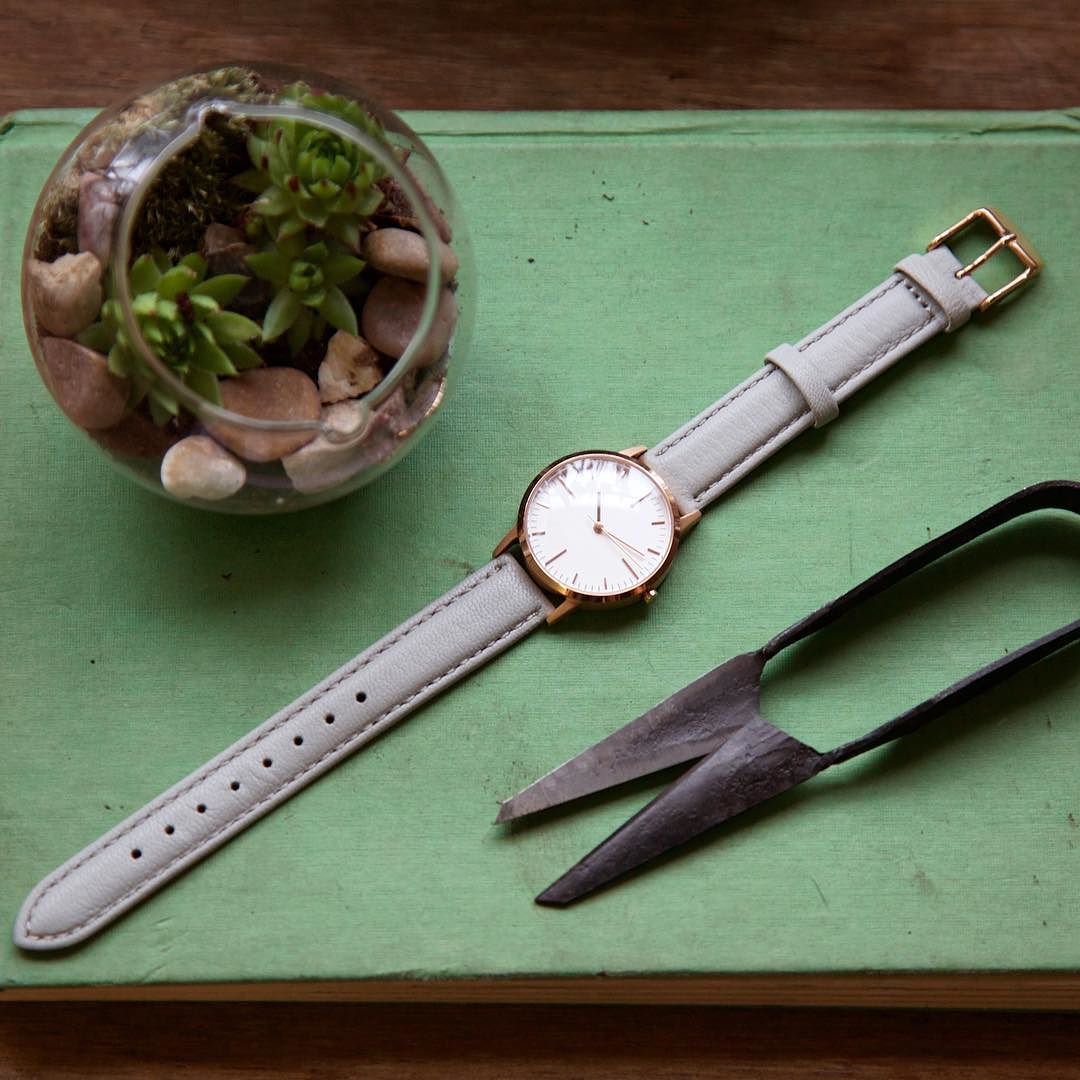 T3011 | Rose Gold & Grey Watch