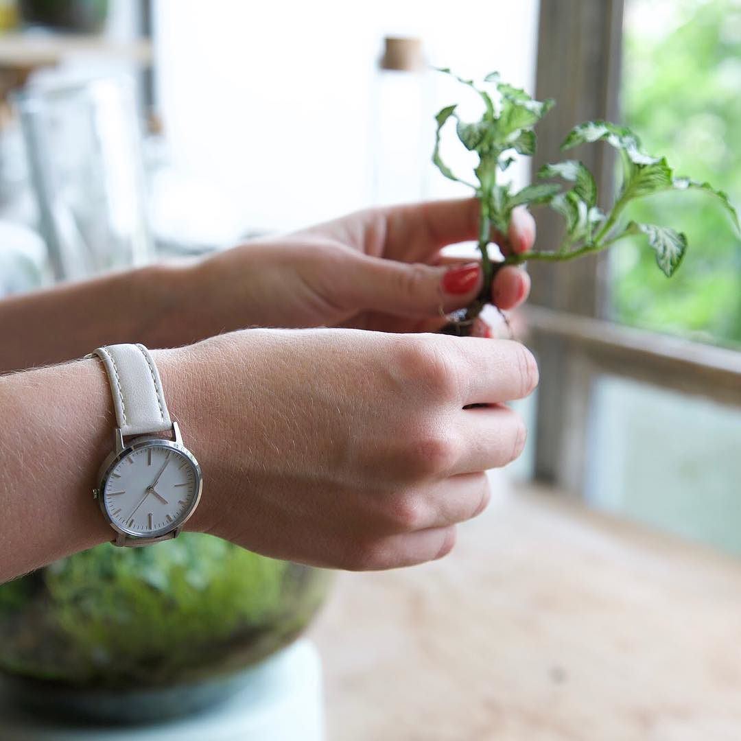 T3004 | Silver & Cream Watch