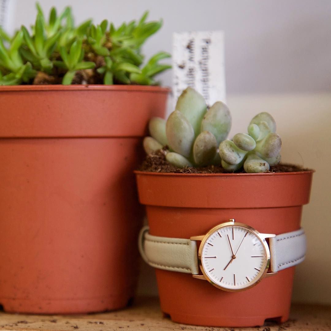 T3011 | Rose Gold & Grey Watch