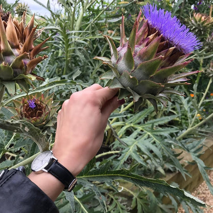 T3008 | Silver & Black Women's Watch